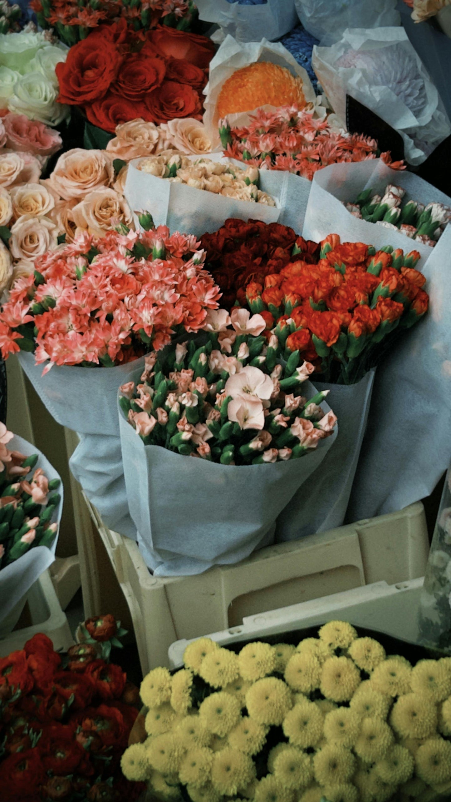 Ramo de Rosas Eternas Premium + Caja de Regalo